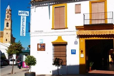 Hostal El Caballo Blanco Osuna Extérieur photo